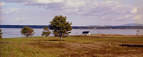 Isabel's road