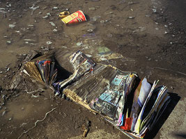 Plate 39: yellow pages becoming dirt, Lawrence Ave. E.