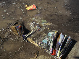 Plate 39: yellow pages becoming dirt, Lawrence Ave. E.